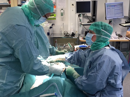 Ta ställning till donation – rädda liv!